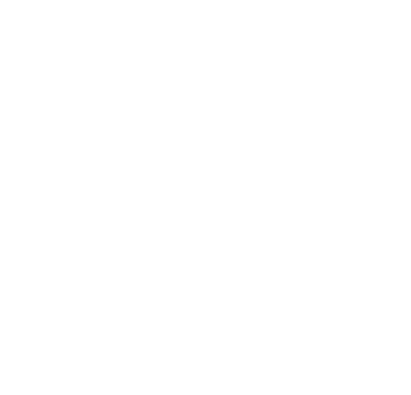 Logo Icon